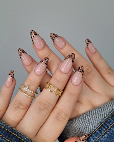 Manicure : French Nail Paint